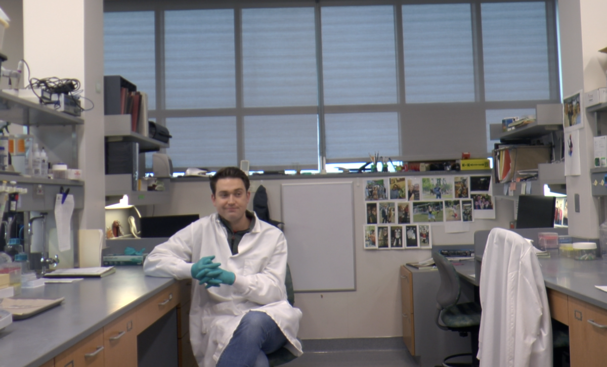 What Biomedical Engineering is About